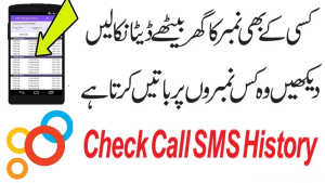 Check Mobile SMS and Call History Online By Number & Name