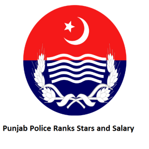 Punjab Police Ranks Stars and Salary