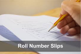 KMU CAT Roll No Slip 2024 Exam Download Online | www.kmu.edu.pk/ |