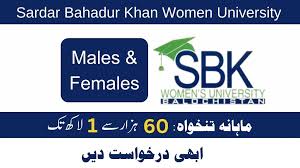 SBK Women University Quetta Jobs 2024 Apply Online